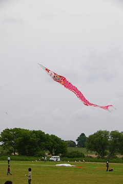 photo-090505-5