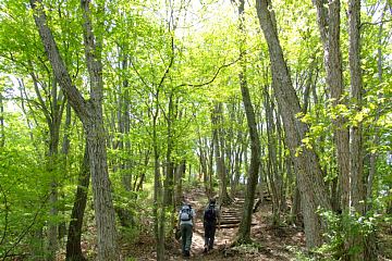 photo-090509-4