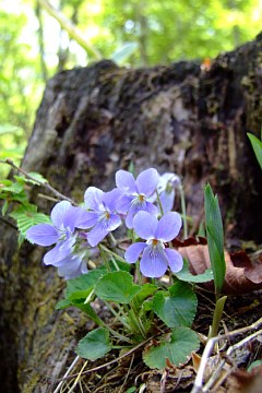 photo-090509-6