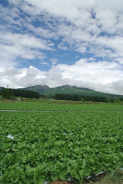 photo-090530-1