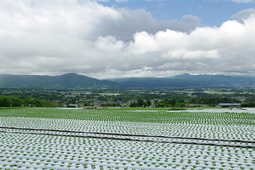 photo-090530-4