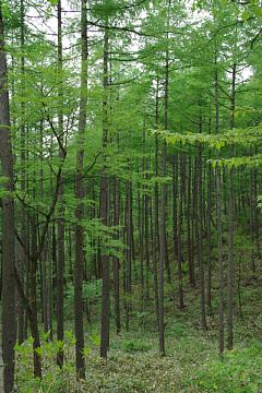 photo-090530-6