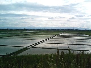 photo-090606-3
