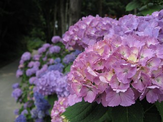 photo-090614-1