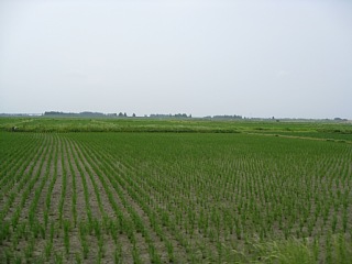photo-090614-3