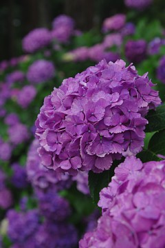 photo-090621-2