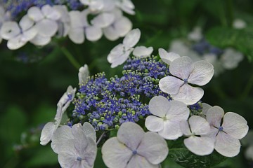 photo-090621-3