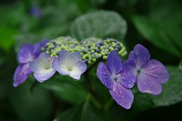 photo-090621-4
