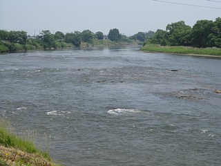 photo-090628-10