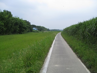 photo-090705-3