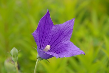 photo-090809-4
