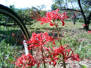 photo-090815-2