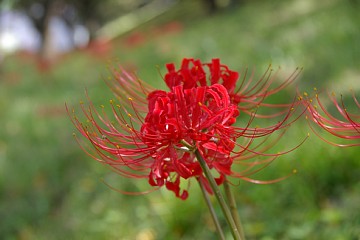 photo-090816-1
