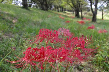 photo-090816-3