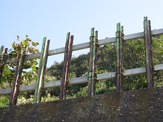photo-090926-10
