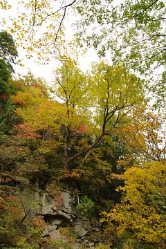 photo-091017-3
