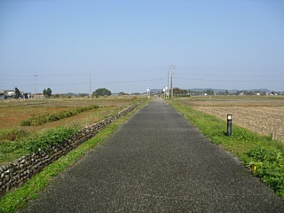 photo-091031-1