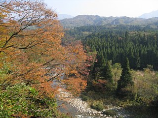 photo-091031-5