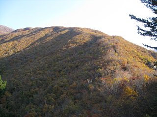 photo-091108-2