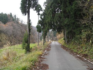 photo-091129-3
