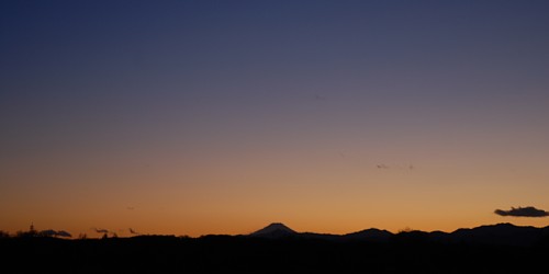 photo-100101-1