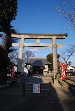 photo-100102-1
