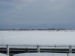 photo-100106-1