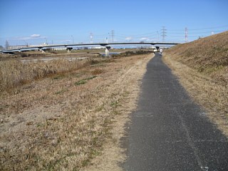 photo-100110-1