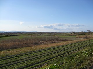 photo-100110-4