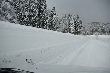 photo-100116-2