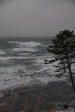 photo-100116-6