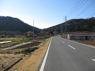 photo-100130-1