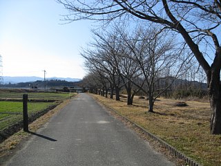 photo-100130-10