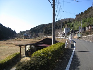 photo-100130-3
