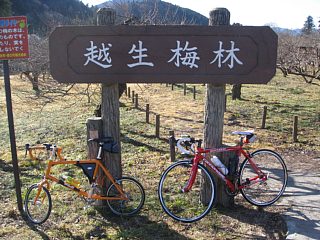 photo-100130-4