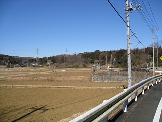 photo-100130-8