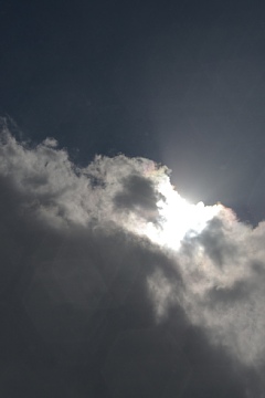 photo-100206-2