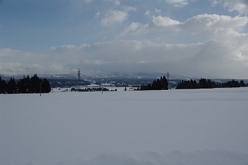 photo-100207-3