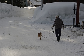 photo-100207-7