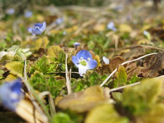 photo-100220-7