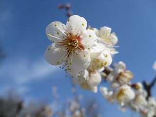 photo-100221-1