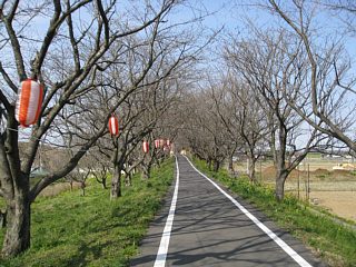 photo-100322-3