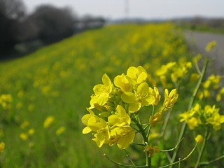 photo-100322-4