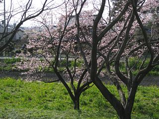 photo-100322-5