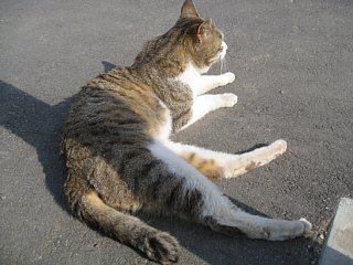 photo-100322-6