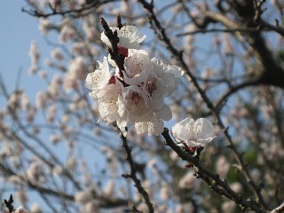 photo-100322-7
