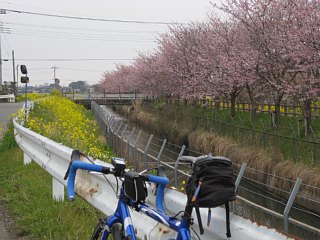photo-100328-1