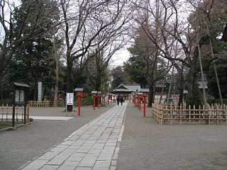 photo-100328-2