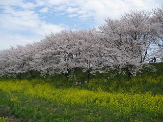 photo-100411-5