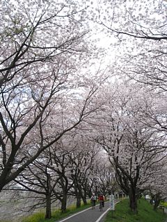 photo-100411-7